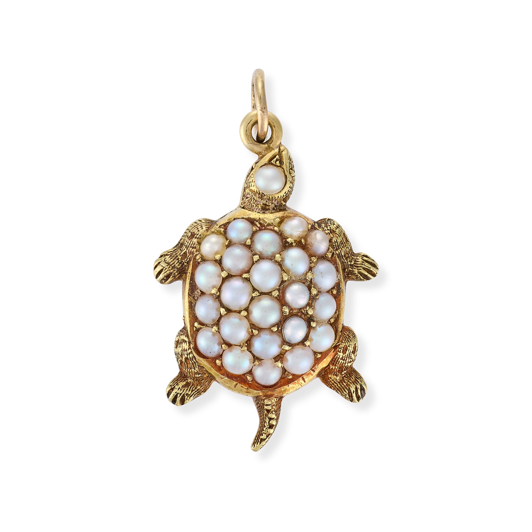 Charme Tortue Perle Antique