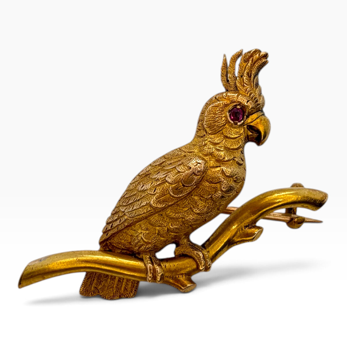 Victorian 15ct Gold & Ruby Parrot Brooch