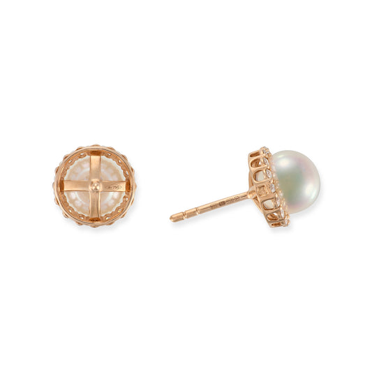 Rose Gold Akoya Pearl & Diamond Earrings - Wildsmith Jewellery