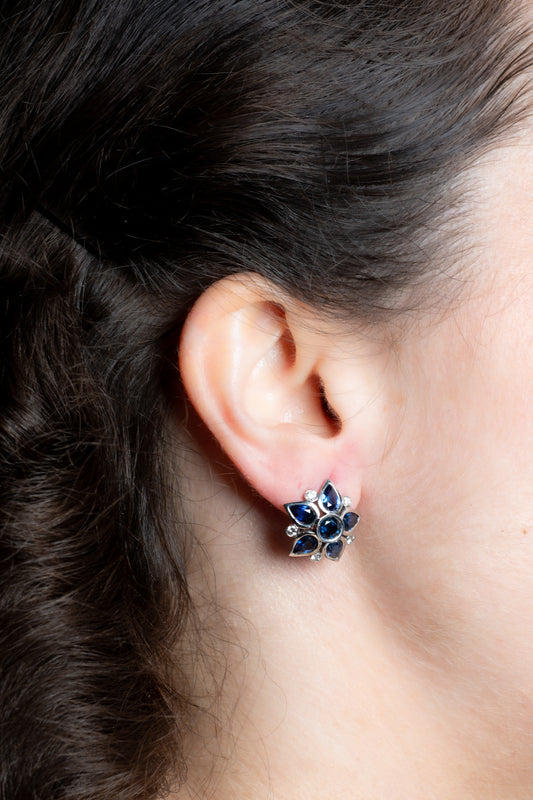 18ct White Gold Sapphire & Diamond Earrings - Wildsmith Jewellery